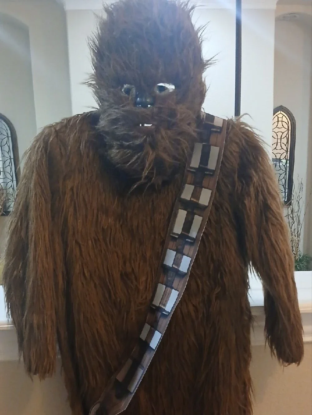Star Wars Brown Chewbacca Furry Costume